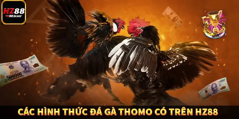 Đá gà CP - Chinh Phục Đấu Trường Đỉnh Cao Tại HZ88 10 Các hình thức đá gà Thomo có trên HZ88