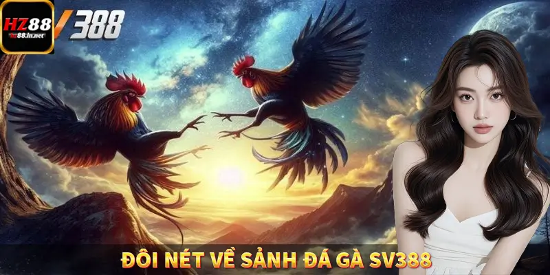 Đá Gà Thomo HZ88 - Trải Nghiệm Chọi Kê Kịch Tính, Hấp Dẫn 8 Đôi nét về sảnh đá gà SV388