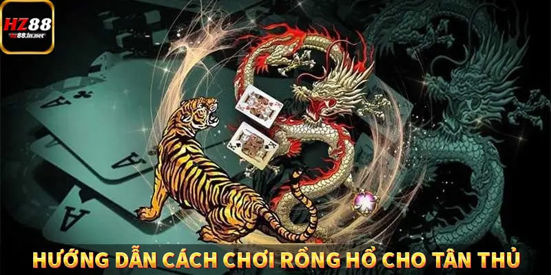 Baccarat - Chinh Phục Game Ấn Tượng, Thưởng Khủng Tại HZ88 9 Hướng dẫn cách chơi rồng hổ cho tân thủ