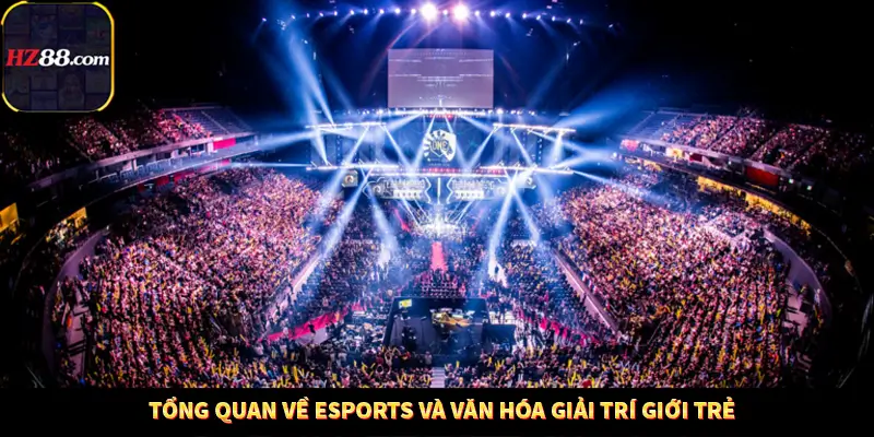 Những Quy Định Pháp Lý Mới Nhất Ảnh Hưởng Đến Người Chơi Việt Nam Tại Hz88 11 Tổng quan về eSports và văn hóa giải trí giới trẻ