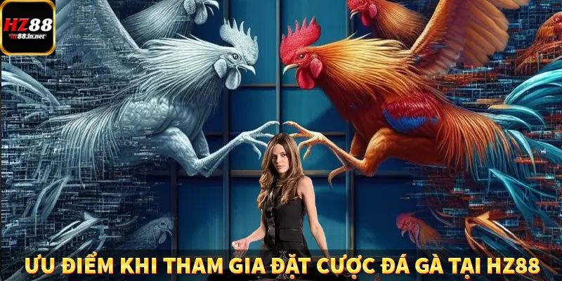 Đá Gà Thomo HZ88 - Trải Nghiệm Chọi Kê Kịch Tính, Hấp Dẫn 9 Ưu điểm khi tham gia đặt cược đá gà tại HZ88