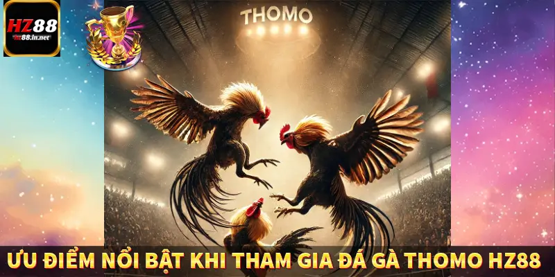 Đá gà CP - Chinh Phục Đấu Trường Đỉnh Cao Tại HZ88 9 Ưu điểm nổi bật khi tham gia đá gà Thomo trên HZ88