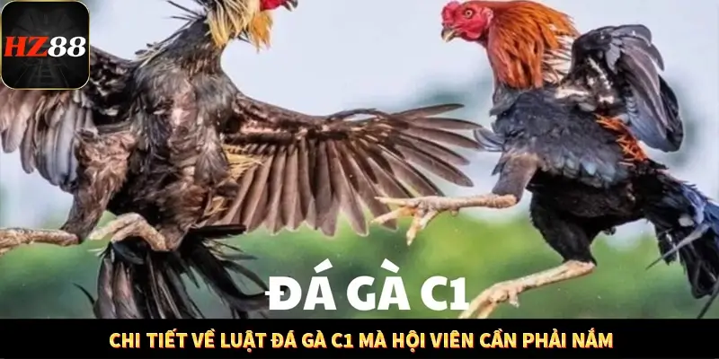 Khám Phá Những Tính Năng Mới Trong Casino Trực Tuyến 2025 12 Chi tiết về luật đá gà C1 mà hội viên cần phải nắm
