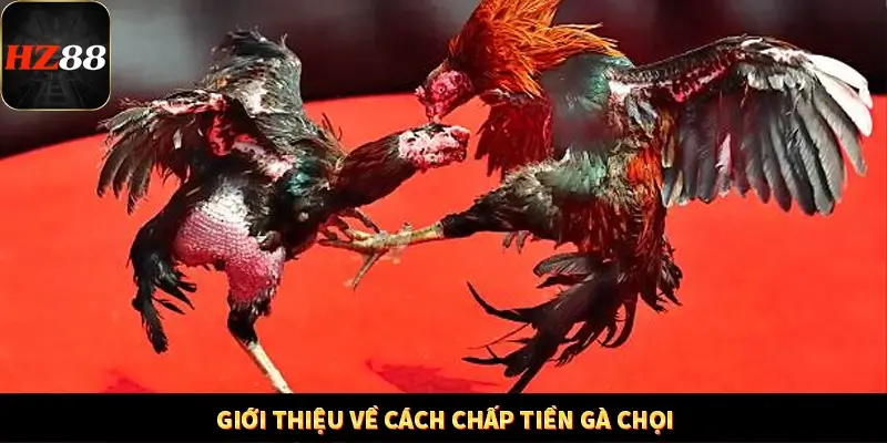 Khám Phá Những Tính Năng Mới Trong Casino Trực Tuyến 2025 11 Giới thiệu về cách chấp tiền gà chọi