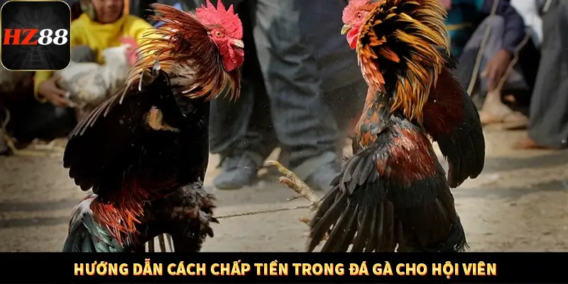 Khám Phá Những Tính Năng Mới Trong Casino Trực Tuyến 2025 12 Hướng dẫn cách chấp tiền trong đá gà cho hội viên