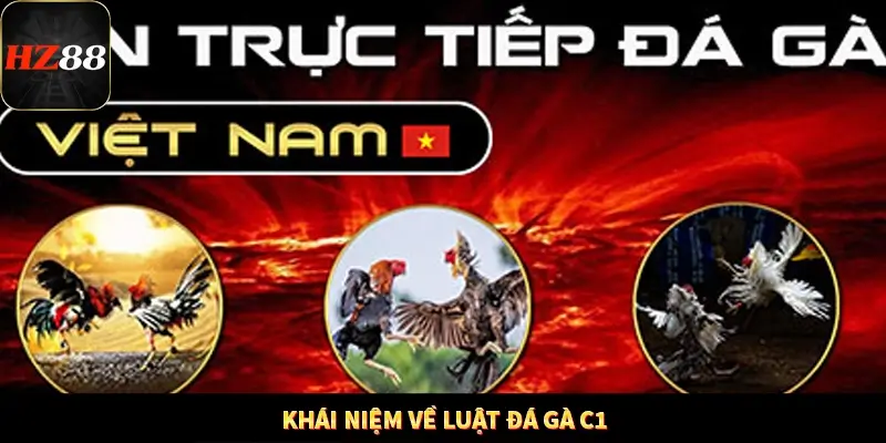 Khám Phá Những Tính Năng Mới Trong Casino Trực Tuyến 2025 11 Khái niệm về luật đá gà C1