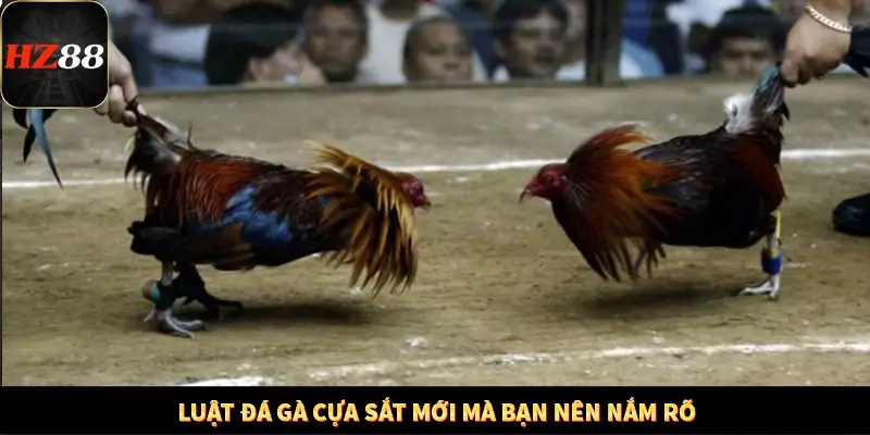 Khám Phá Những Tính Năng Mới Trong Casino Trực Tuyến 2025 12 Luật đá gà cựa sắt mới mà bạn nên nắm rõ