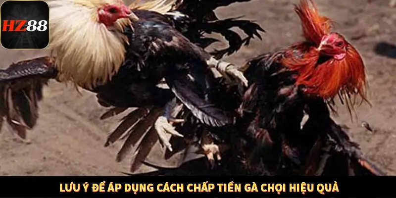 Khám Phá Những Tính Năng Mới Trong Casino Trực Tuyến 2025 13 Lưu ý để áp dụng cách chấp tiền gà chọi hiệu quả