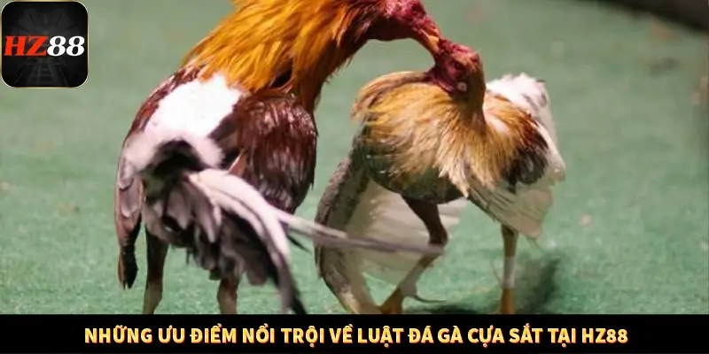 Khám Phá Những Tính Năng Mới Trong Casino Trực Tuyến 2025 13 Những ưu điểm nổi trội về luật đá gà cựa sắt tại HZ88