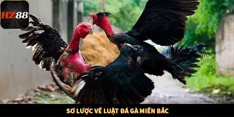 Khám Phá Những Tính Năng Mới Trong Casino Trực Tuyến 2025 11 Sơ lược về luật đá gà miền Bắc