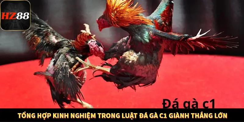 Khám Phá Những Tính Năng Mới Trong Casino Trực Tuyến 2025 13 Tổng hợp kinh nghiệm trong luật đá gà C1 giành thắng lớn