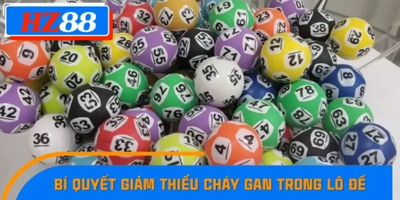 Mẹo hạn chế cháy gan trong lô đề hiệu quả nhất Mẹo hạn chế cháy gan trong lô đề hiệu quả nhất
